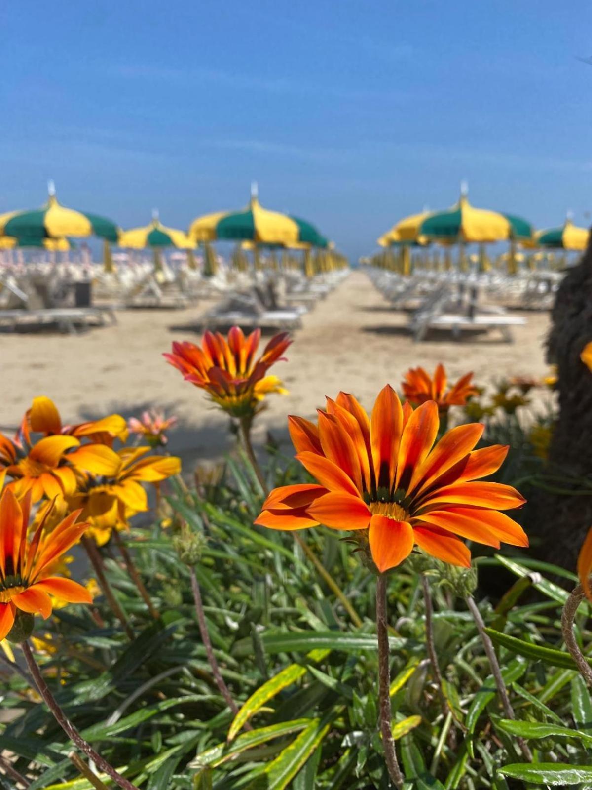Rimini Bay Suites&Residence Dış mekan fotoğraf